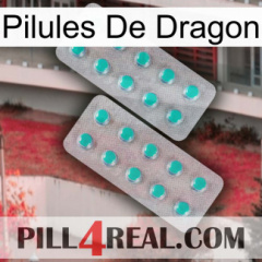 Dragon Pills 29